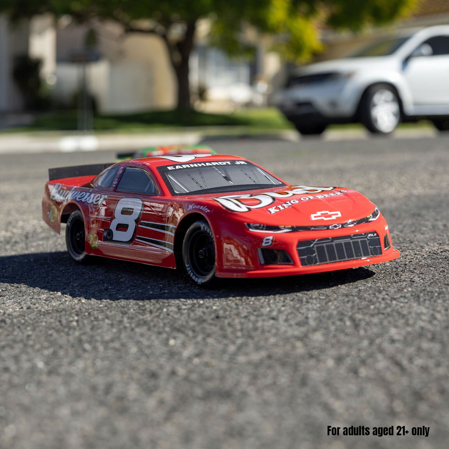 LOS-3104T2 Losi 1/12 Chevrolet ZL1 Asphalt Late Model Grom AWD RTR On-Road Car Dale Earnhardt Jr. No. 8 (Budweiser) w/2.4GHz Transmitter, Battery, & Charger
