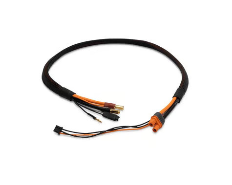 Spektrum RC Pro Series Race 2s Charge Cable: IC3/5mm - SPMXCA329
