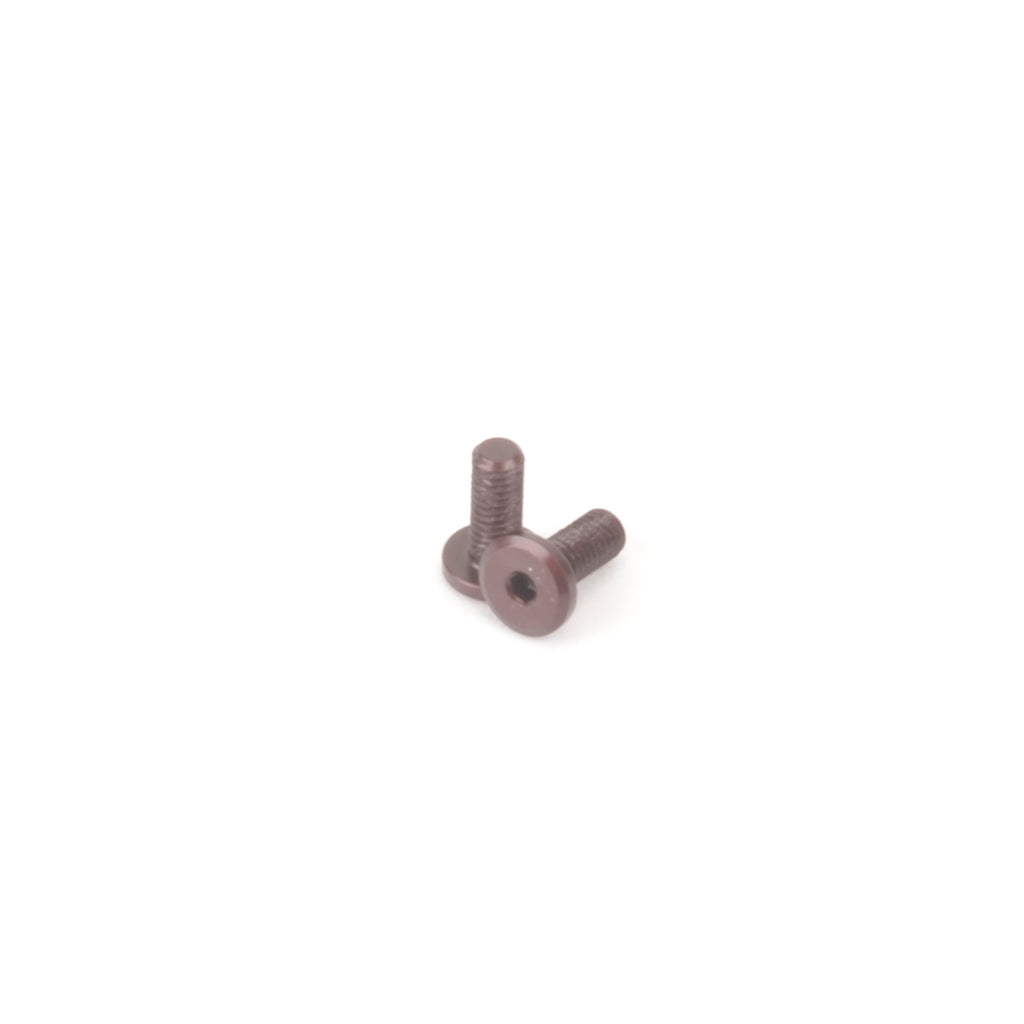 U4983 Schumacher Speed Pack Servo Screws (2pcs)